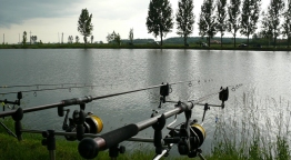Kössön Velünk - 4. rész