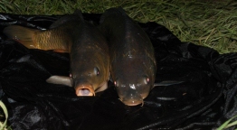 Versenykiírás - Cibakházi Holt-Tisza