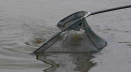 V. Silverbaits Bojlis Kupa 2011 Mór - 80 óra telt el a versenyből